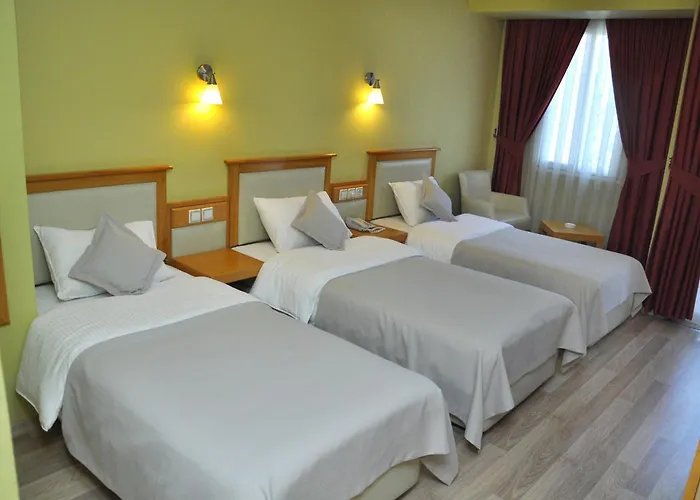 Hotel Doruk 3*